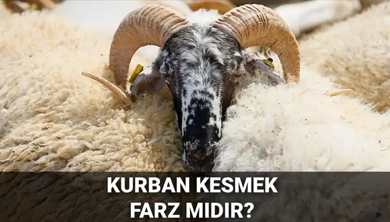 Kurban Kesmenin Şartları ve Diyanet’in Görüşü: Farz mı?