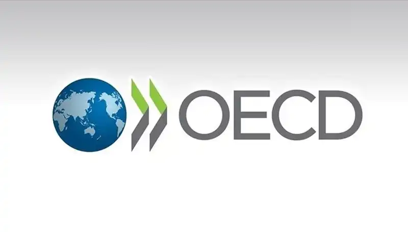 OECD, Türkiye İçin Büyüme Tahminini Revize Etti: İşte Yeni Rakamlar!