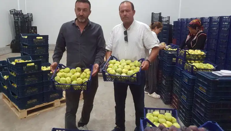 Mersinli Çiftçiler İçin Bereketli Sezon: Tanesi 20 TL'den İhraç Edilen Ürünler