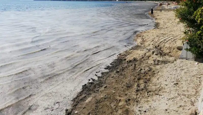 Müsilajla Mücadelede Çarpıcı Gelişme: 268 İşletme Kapatıldı!