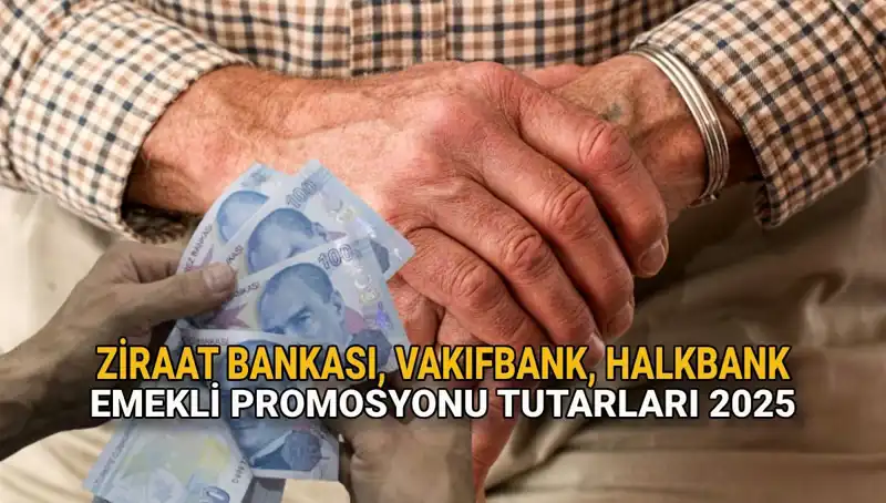 2025 Emekli Maaşı Promosyonları: Kamu Bankalarının Teklifleri Neler?