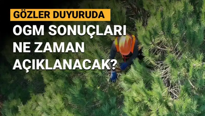 OGM Personel Alımı Duyurusu: 3 Bin 477 Sözleşmeli İstihdam Neden Bekleniyor?