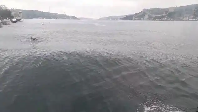 İstanbul Boğazı'nda Dalgalar Yükseldi: Denizde Neler Oluyor?