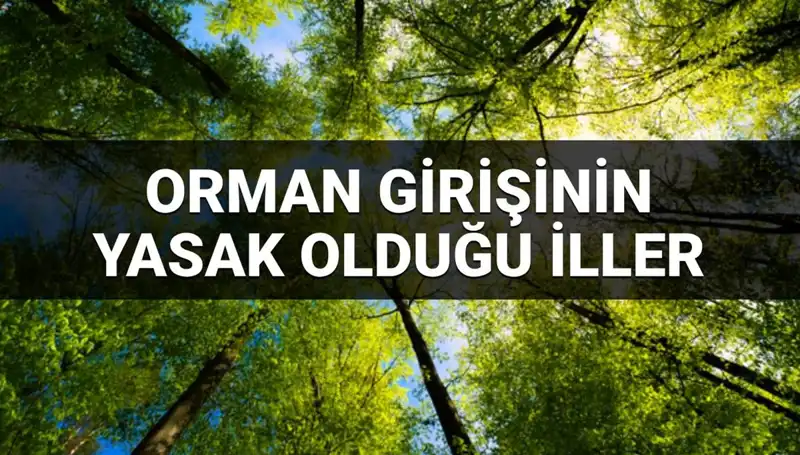 2025 Yılında Orman Girişinin Yasaklandığı İller Hakkında Bilmeniz Gerekenler