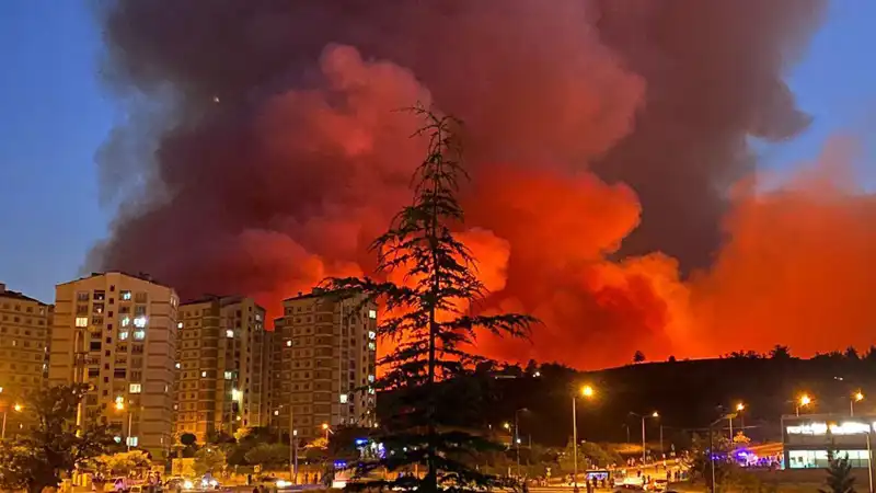 Bursa'daki Yangınlar Şehri Tehdit Altına Aldı, Son Durum Nedir?