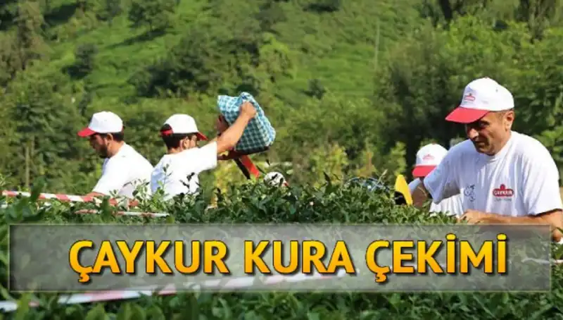 Çaykur Canlı Kura Sayfası: İsim Listesini Öğrenmenin Yolları
