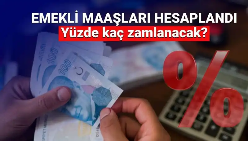 Emekli Zammı Beklentileri: 2024 İçin Hangi Rakamlar Masada?