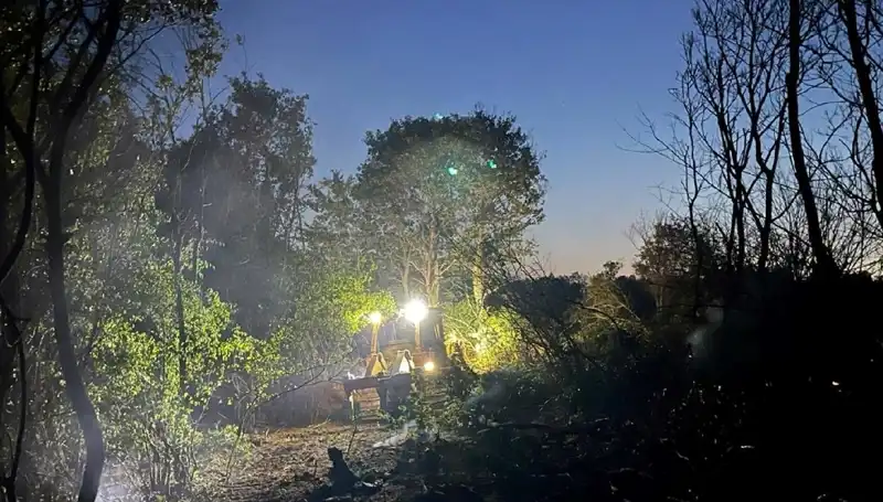 Edirne'deki Orman Yangını Kontrol Altına Alındı: Düşman Doğaya Son Vuruş!