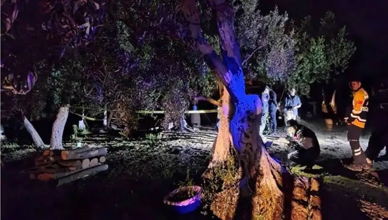 Çiftlikteki Baltalı Vahşet: Şok Edici Tutuklama Gerçekleşti!