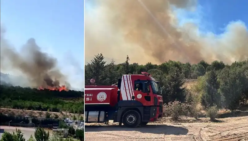 Gebze'de Çıkan Orman Yangını Olayını İleri Düzeyde İnceledik