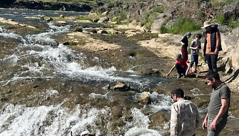 İnci Kefalinin Göçü: Doğanın Harikası Turistlerin İlgi Odağı