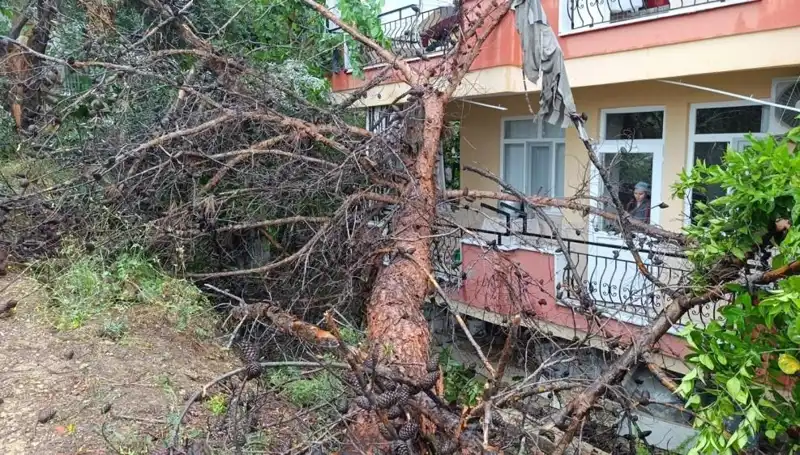 Yağmurun Sonucu: Dev Bina Yıkıldı, Şehirde Panik Başladı