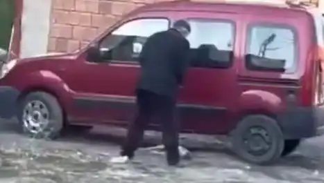 Sokakta Köpeğe Şiddet Uygulayan Kişi Gözaltına Alındı, Toplum Gündeminde Tartışma Yarattı