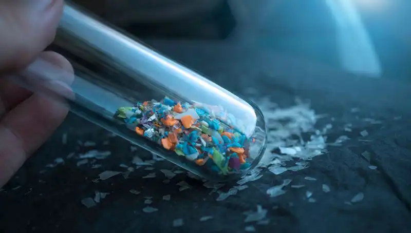 Mikroplastikler İnsanın Beynine Ulaşıyor: Sağlık Üzerindeki Etkileri