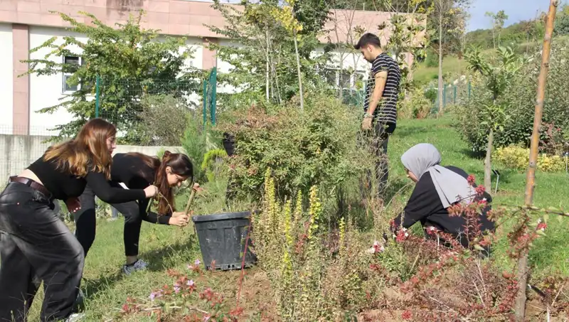Düzce’den Dünyaya Açılan Kapı: Hayaller Gerçek Oluyor